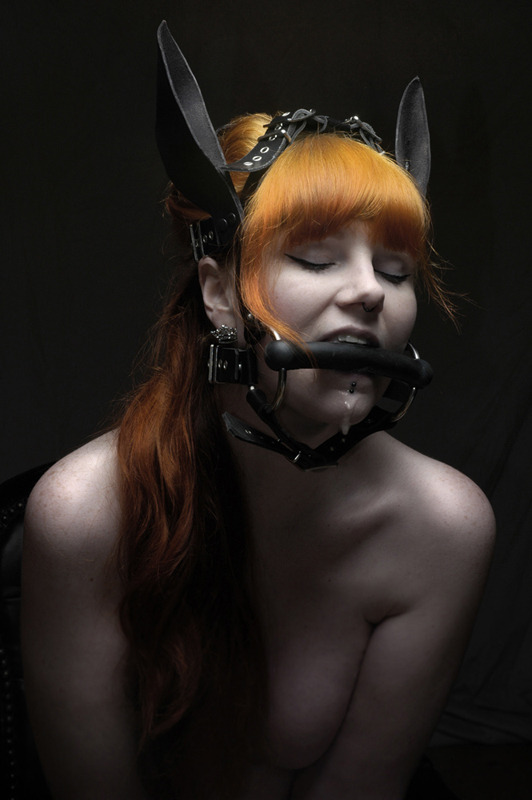 horseman919:  fetishpets:  the reins of course! humanpony:  what is she dreaming