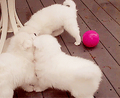 changetheworldlaugh:  -