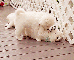 changetheworldlaugh:  -