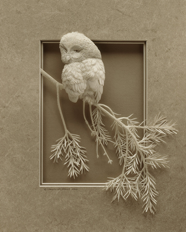 fer1972:  Paper Sculptures by Calvin Nicholls