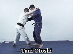 stardustmma:  cms9690:  kellymagovern:  Judo throws. Nage waza.  Beautiful.   Love this girl’s posts, always pertinent!