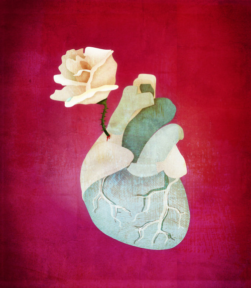 superawesomeshop:  Mojo Wan, on Tumblr 