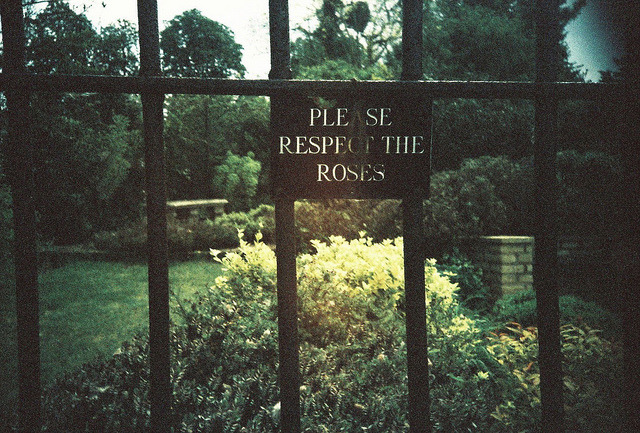 take-me-away-to-neverland:  respect the roses by golfpunkgirl on Flickr. 