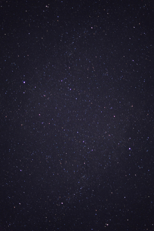hellanne:  (by leah goetzel) 