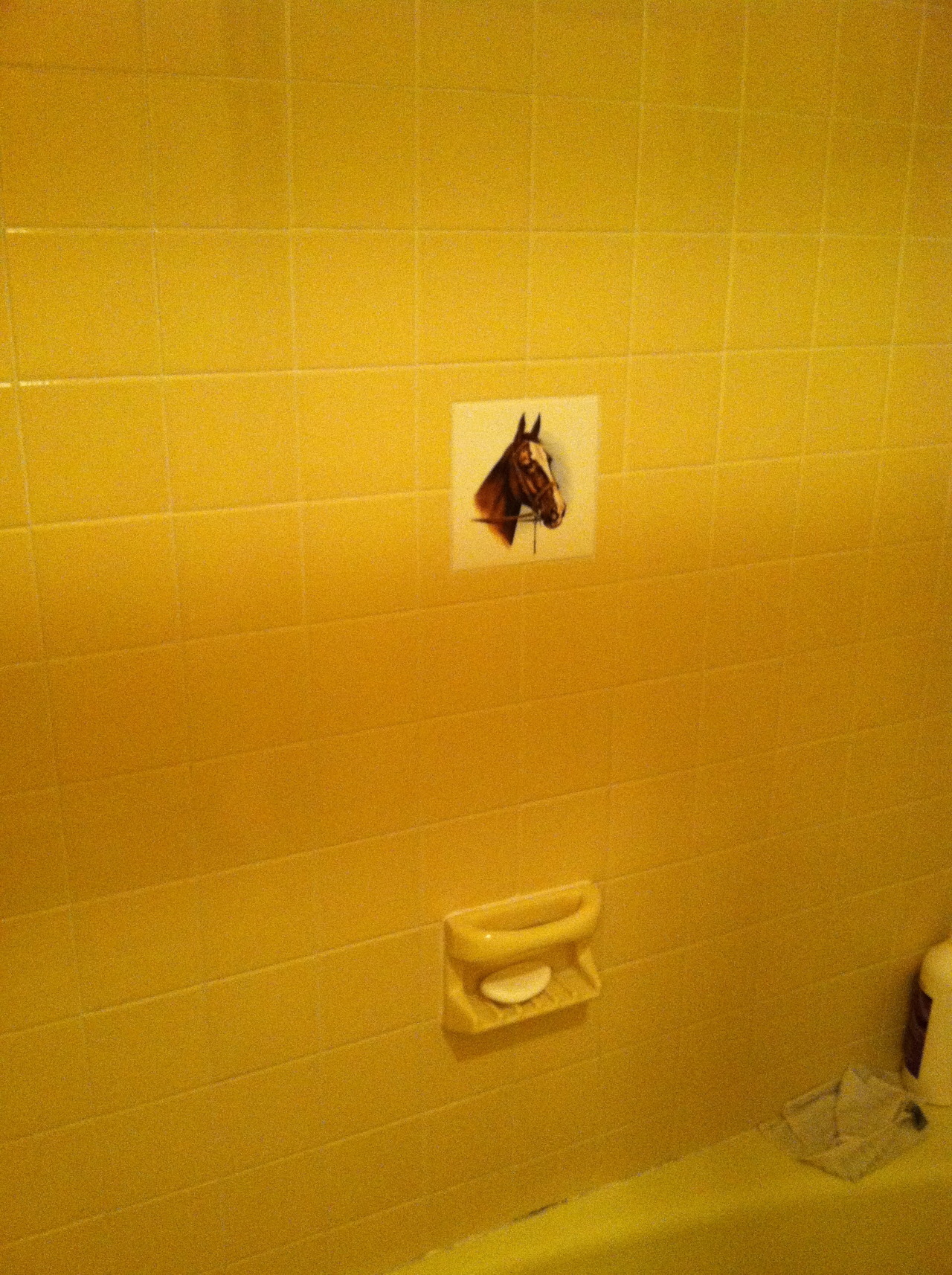 ohshititsgreg:  We bought this house without knowing there is a single horse tile
