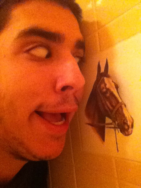 ohshititsgreg:  We bought this house without knowing there is a single horse tile