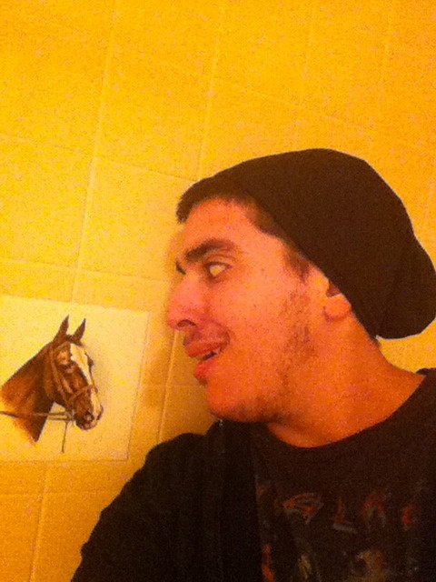ohshititsgreg:  We bought this house without knowing there is a single horse tile