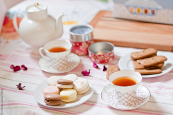 Teenjournal:  Tea Party