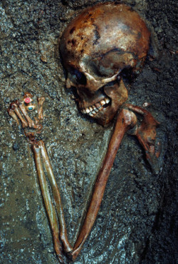 A skeleton unearthed at Herculaneum (destroyed