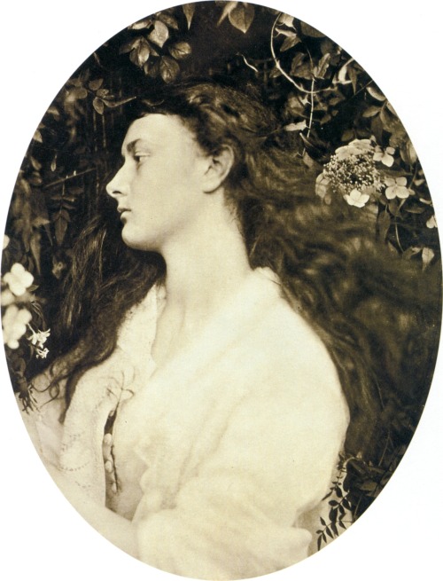 Alethea, Julia Margaret Cameron