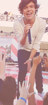 blamestyles:  Harry on Ellen [x] 