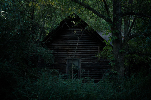 homeintheforest:times not forgotten by conqueroroftheuseless on Flickr.