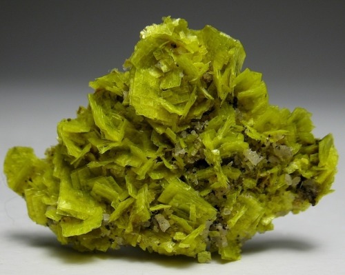 Autunite