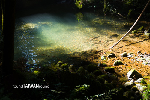 Giant Trees Trail The towering giant trees (神木) is one of the most representative symbols in Alishan