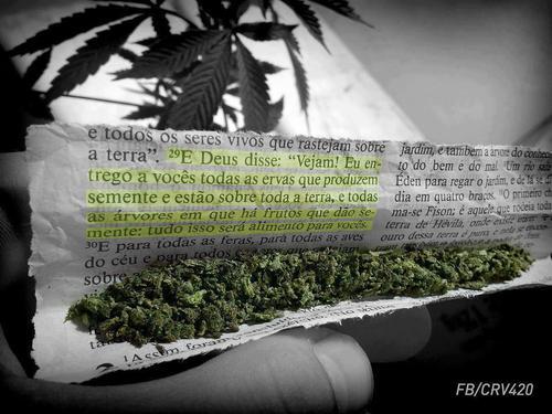 Ordem e Desordem