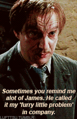 lufttsu:  Quotes from the Harry Potter Books [14/50] 