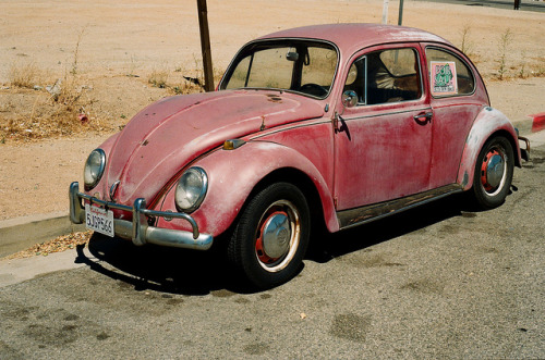 lescharmesdelavie:  Battered Beetle by ▲D▲M on Flickr.