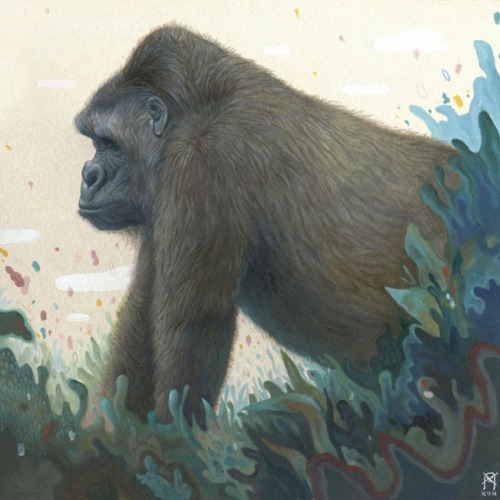superawesomeshop:  Kisung Koh 