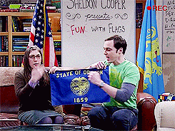 bigbangsheldon:  Hello. I’m Dr. Sheldon Cooper and this is Fun With Flags.  