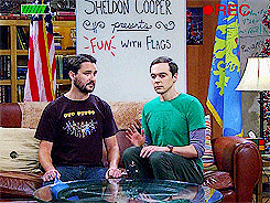 bigbangsheldon:  Hello. I’m Dr. Sheldon Cooper and this is Fun With Flags.  