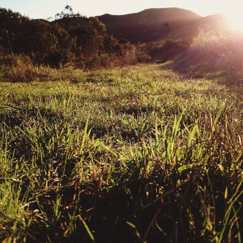 Green season. (at Marin Headlands)