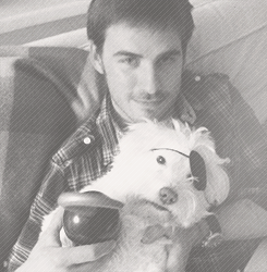  colinsodonoghue asked: Sebastian Stan or AND Colin O’Donoghue 