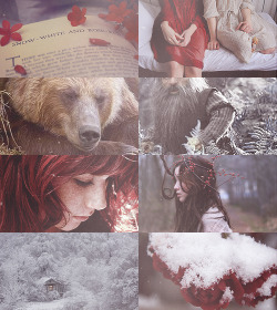 droo216:  Fairy Tale Picspam → Snow-White