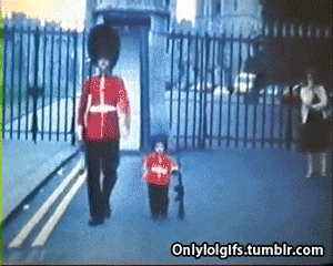The Best of Tumblr Blog - 1000notes.com