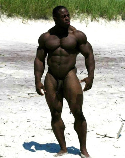 bonerriffic:  Huge black muscular stud 