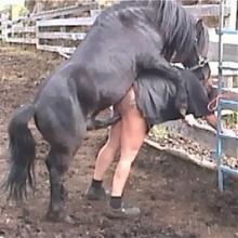 Horse fuck girl animal sex