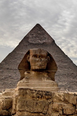  Egypt Giza 