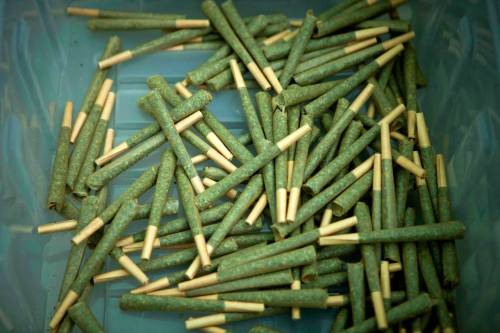 Stoners Paradise