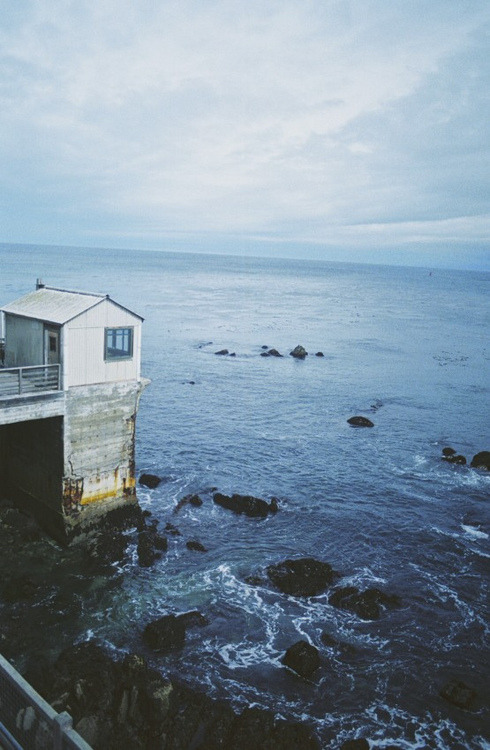nnyctophobia:  ☯grunge/vintage/nature☯