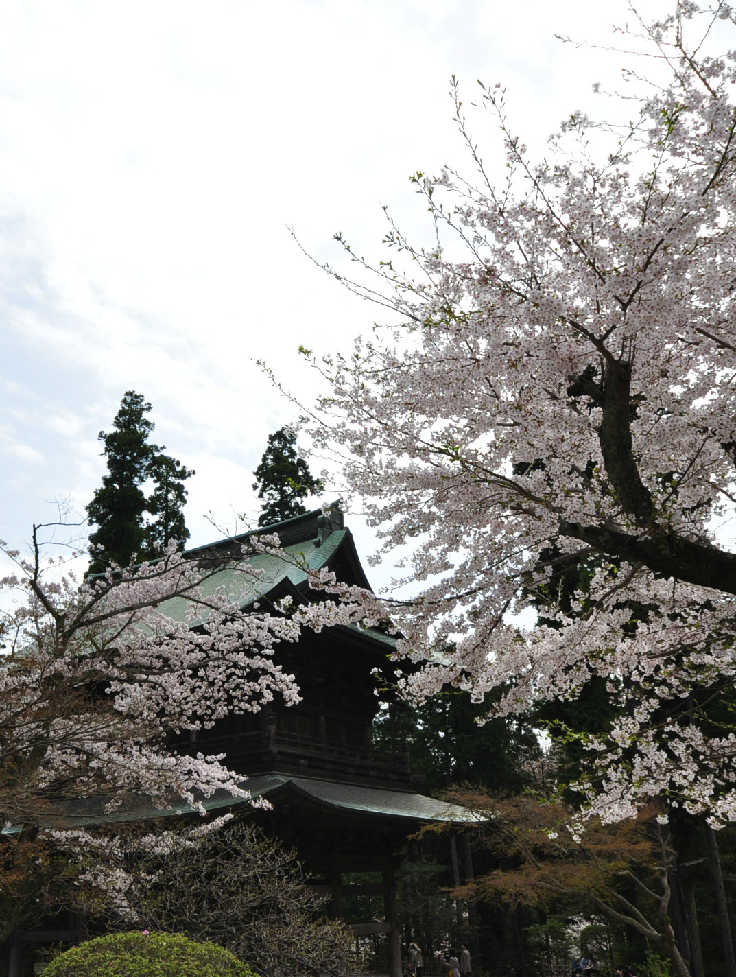 cocoaaaaa:   鎌倉　円覚寺   