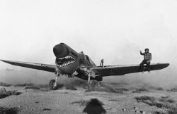 peterquills:  Experienced in desert weather flying, a British pilot lands an American made Kittyhawk fighter plane of the Sharknose Squadron in a Libyan Sandstorm, on April 2, 1942. A mechanic on the wing helps to guide the pilot as he taxis through the