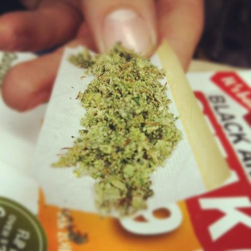 Stoners Paradise