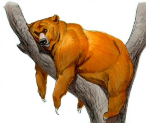 disney-concept-art:  Brother Bear 