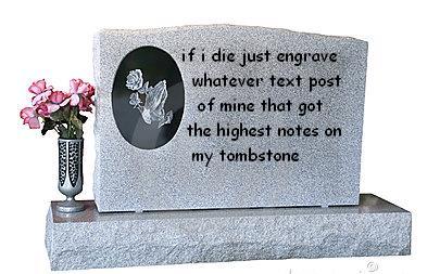 pudding-is-the-new-fondue:  vaspim:  if i die just engrave whatever text post of mine that got the highest notes on my tombstone   