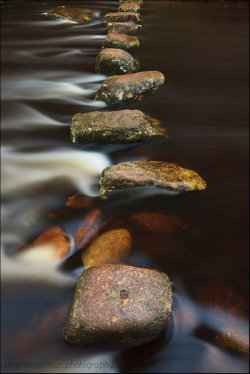 birdsong-in-the-morning:  stepping stones by ~sassaputzin 