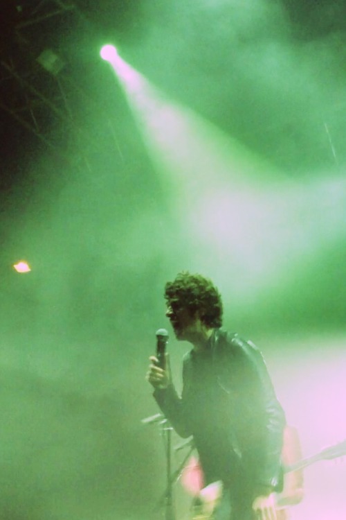 the kooks