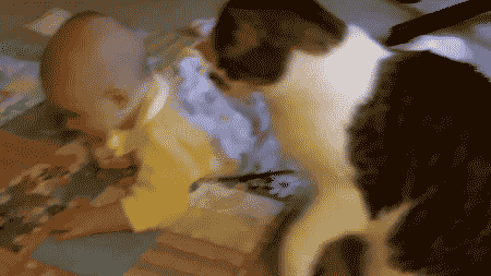 ambiendew:  murder…… Murder…… MURDER!….. snuggle. 