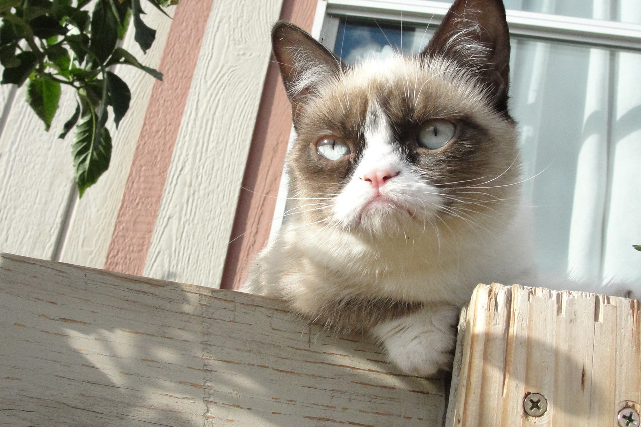 The Daily Grump | November 11, 2012