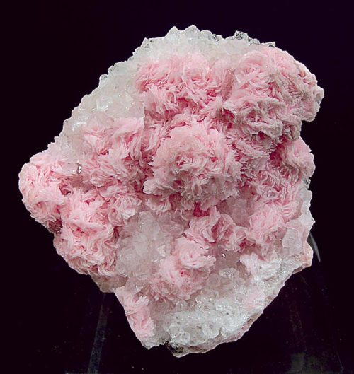 Romanian Rhodochrosite roses on Quartz