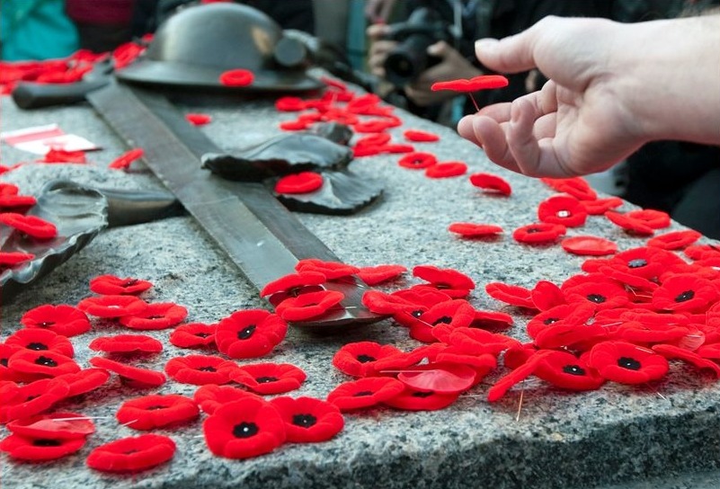Гибло это. Remembrance Day. (Poppy Day). Remembrance Day great Britain. Remembrance Day Королева. Remembrance Day Canada.