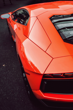 Johnny-Escobar:  Aventador 