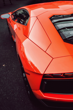 johnny-escobar:  Aventador 