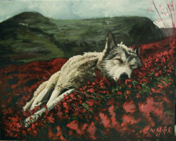 clifachu22:  Wolf at rest, my painting i saw this photo somewhere and had to paint it, i love it i hope you do to!!