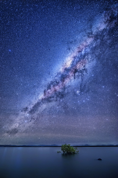 torace: i n s o m n i a (by Jay Daley)