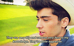 Title Of Our Sex Tape