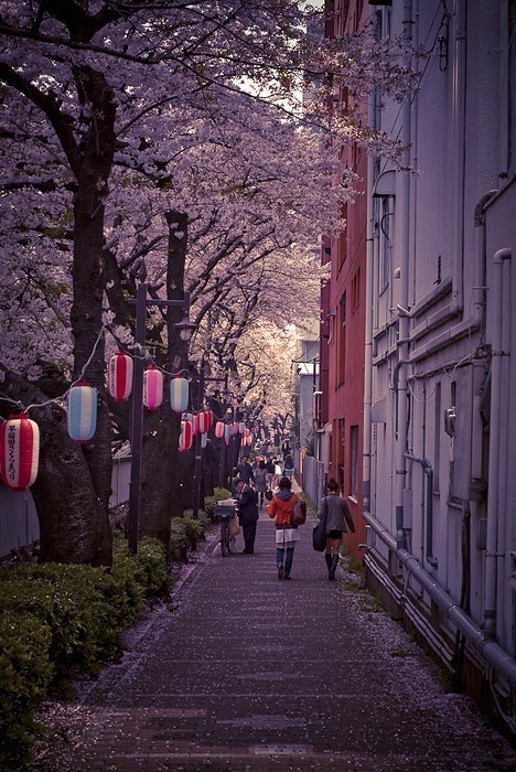 XXX urban culture / TOKYO TOKYO TOKYO on We Heart photo